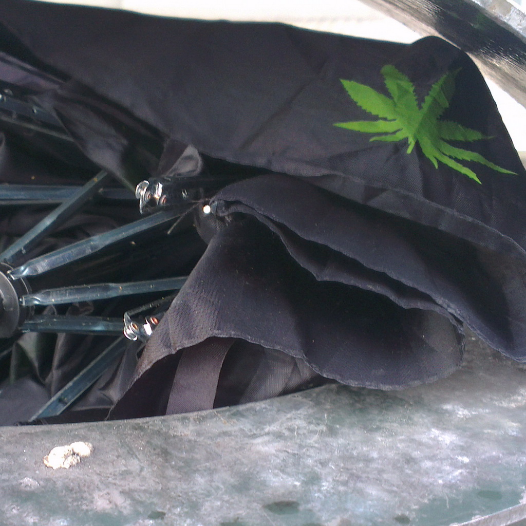2 binned brollies, both black and one with a printed weed leaf. In one picture the Concertgebouw is clearly visible.