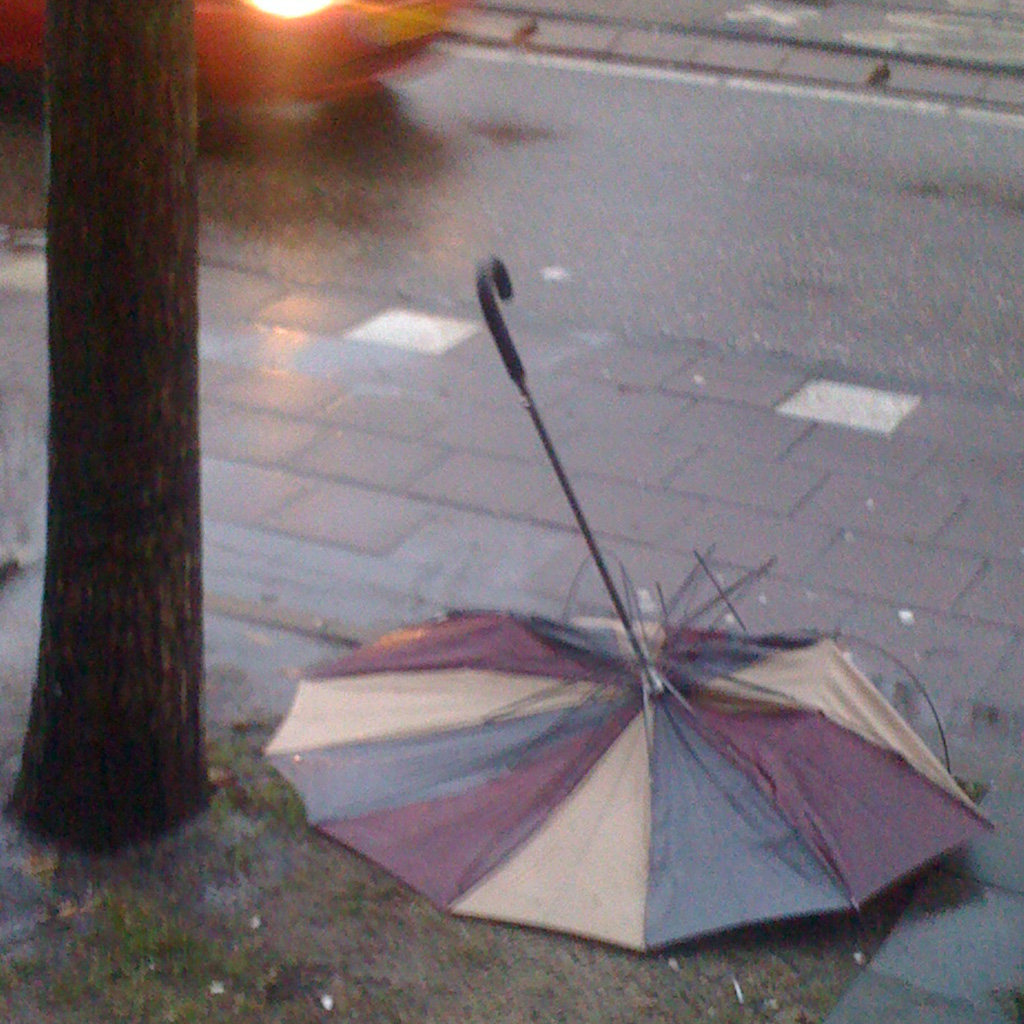 Brolly between tree and bin, all panels are flat on the ground. Tri colour fabric, upside down. Rain poors.