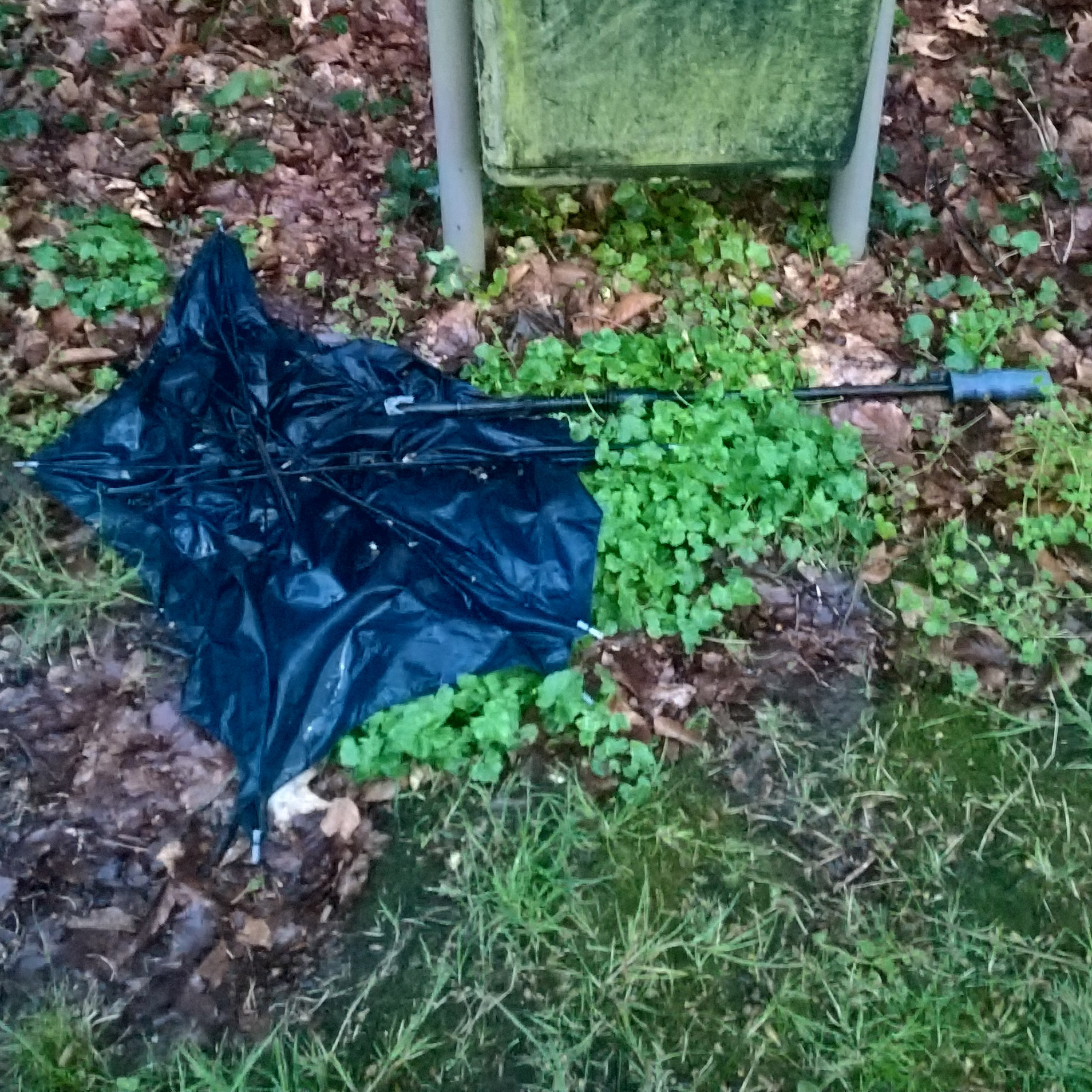 Nearly binned brolly, blue canopy and plastic handle. Foldable shaft.. Bin is a green plastic one on forrest like soil with a broad opening. Bin got quite some mould or alge on it. Bin looks empty but still the brolly lays next to it.