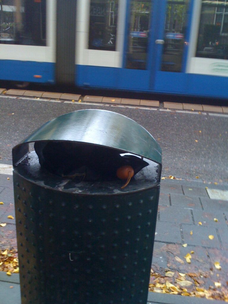 A folding brolly, black canopy and wooden (fake?) handle. Bin is a typical green Amsterdam bin. Background is some street and tram track. In one picture there’s van passing by, in another a tram.