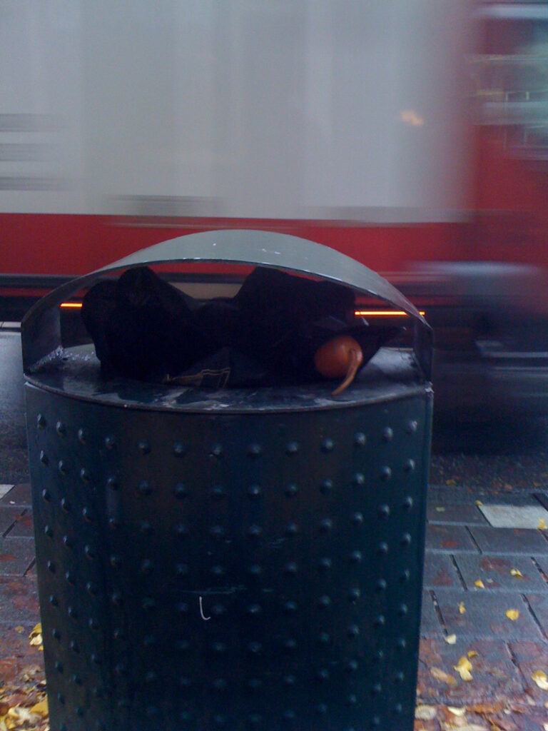 A folding brolly, black canopy and wooden (fake?) handle. Bin is a typical green Amsterdam bin. Background is some street and tram track. In one picture there’s van passing by, in another a tram.